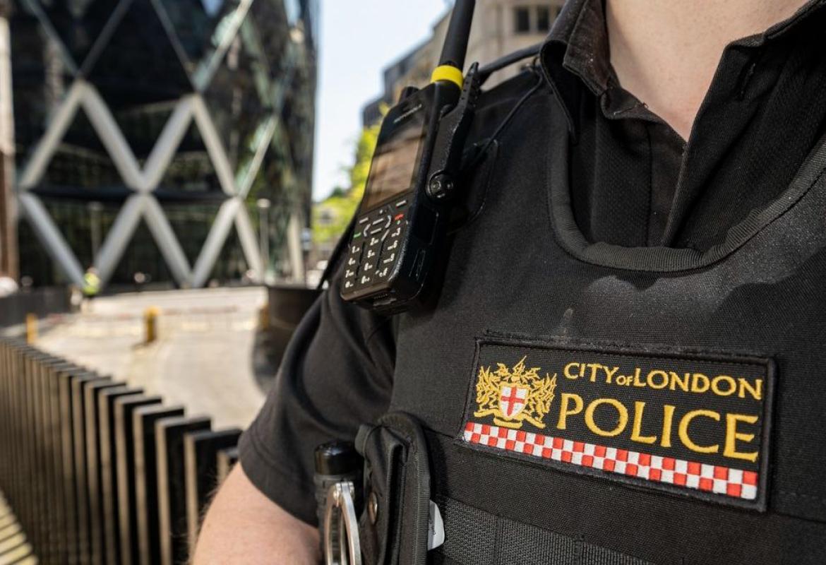 londonska policija platformax